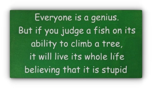 Handmade Wooden Plaque "Everyone is a genus. ..." WP22