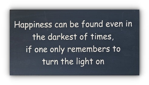 Handmade Wooden Plaque "Happiness can be found" WP24