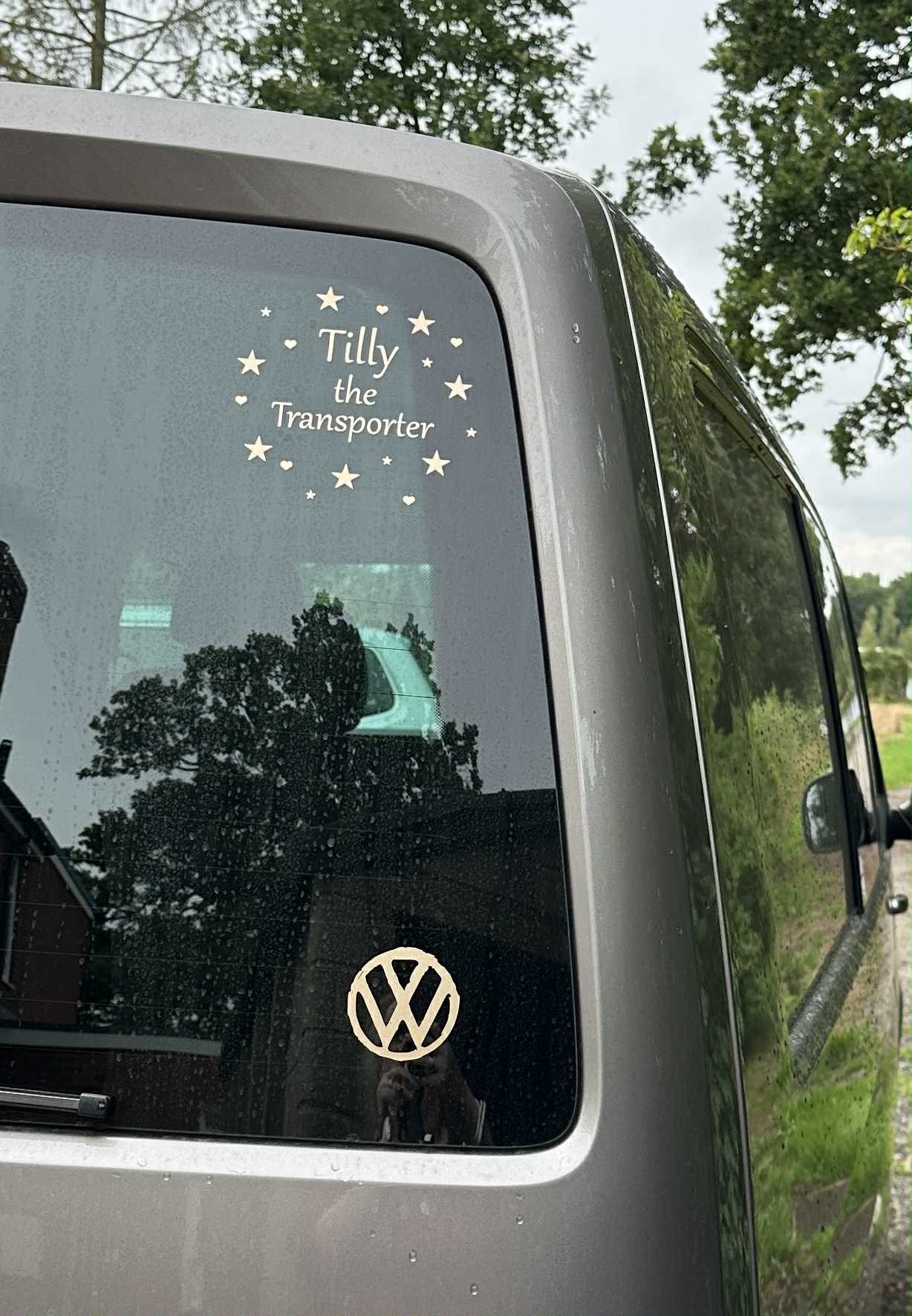 VW Symbol Small